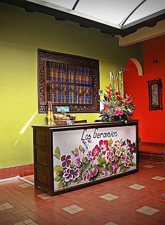 Hotel Los Geranios 杜伊塔马 外观 照片